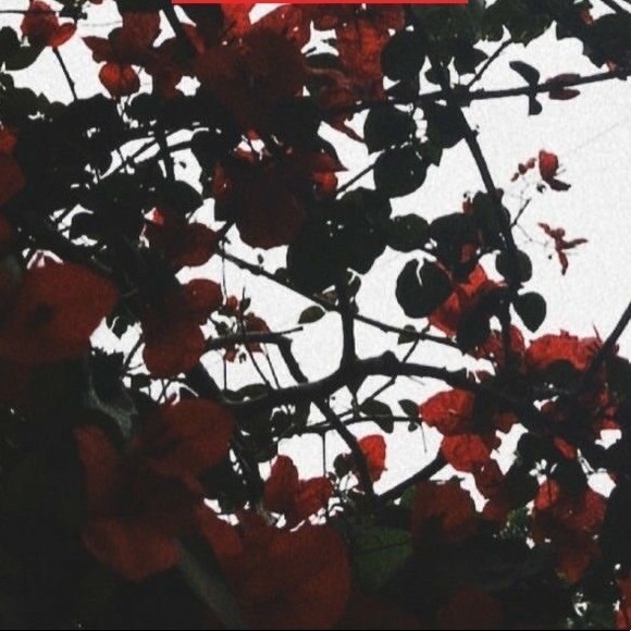 madyson_elaine